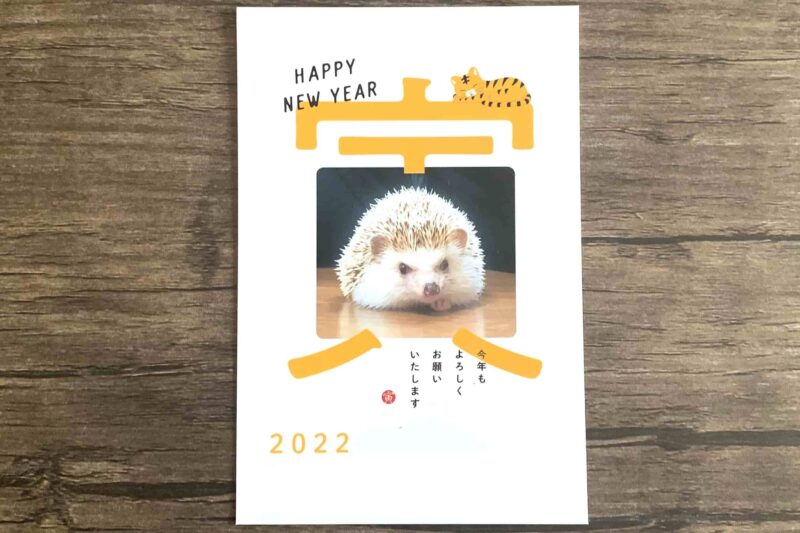 New-Year's-card-for-2022