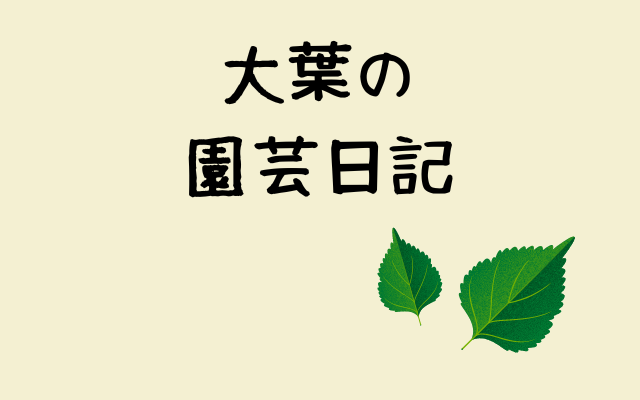 Shiso's-Gardening-Diary